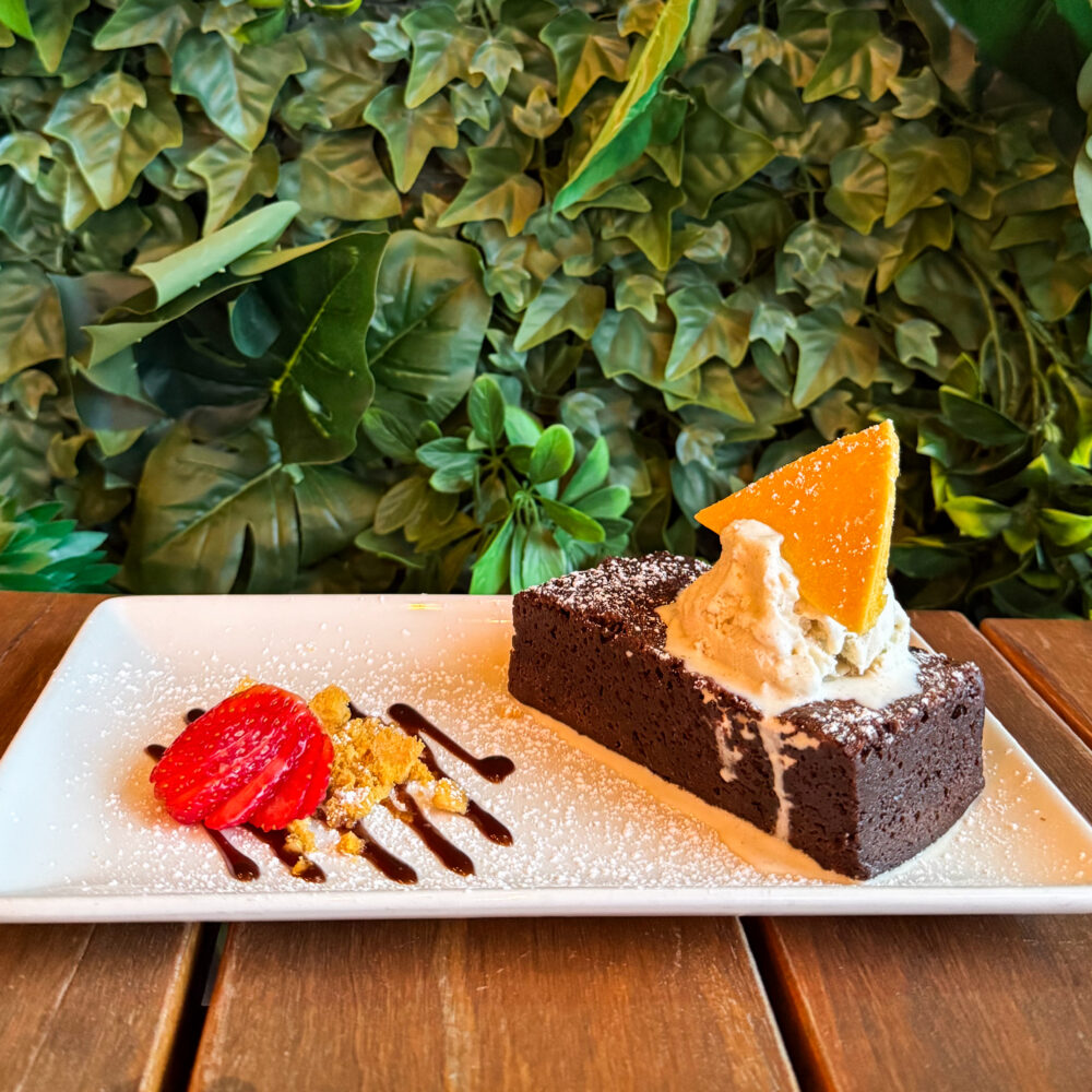 CHOCOLATE BROWNIE (3)
